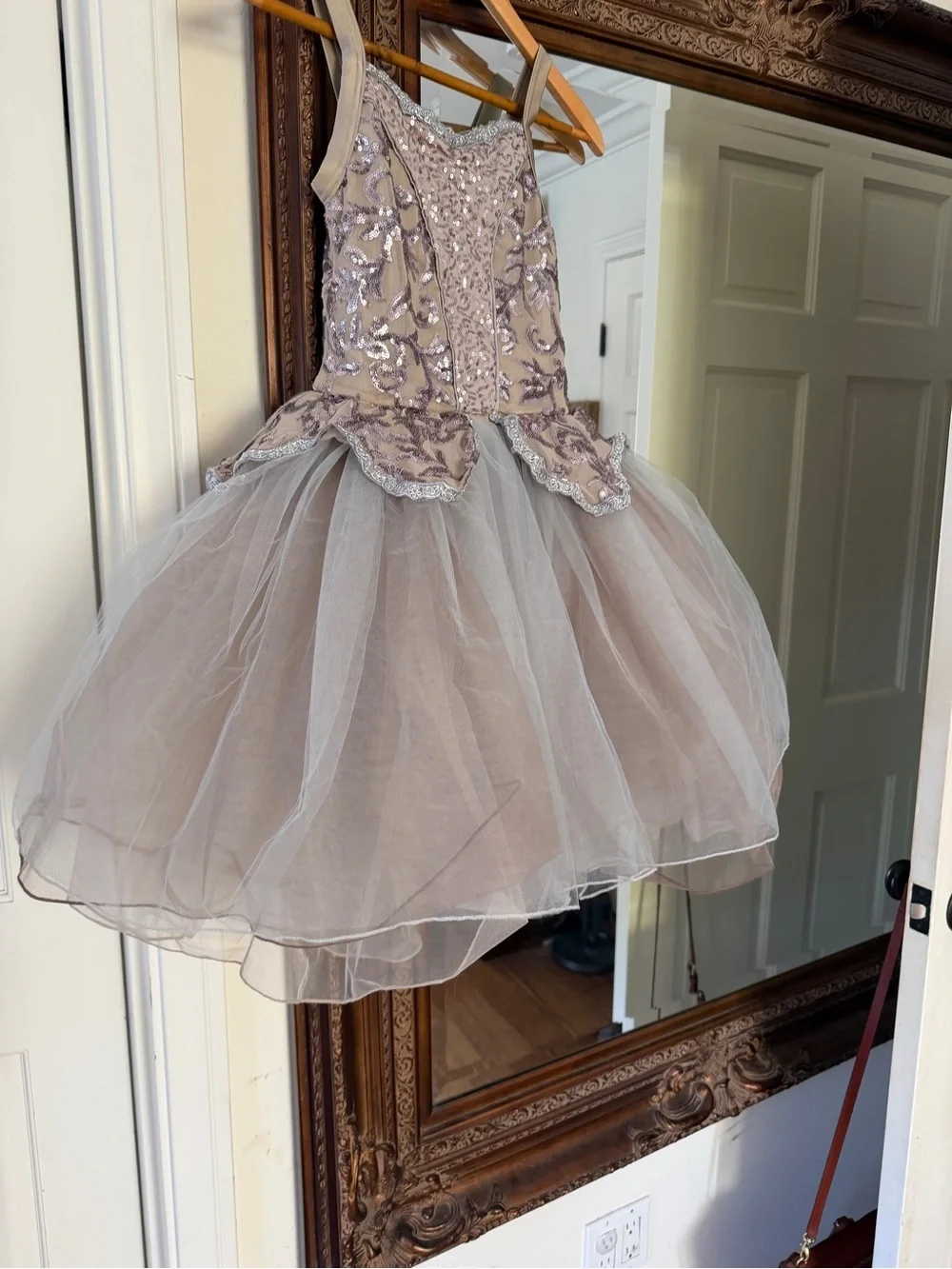 Weissman Dusty Blush Ballet Tutu with Silver Sequin Embroidery